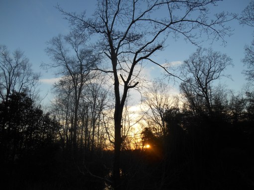 March 1 sunset 005