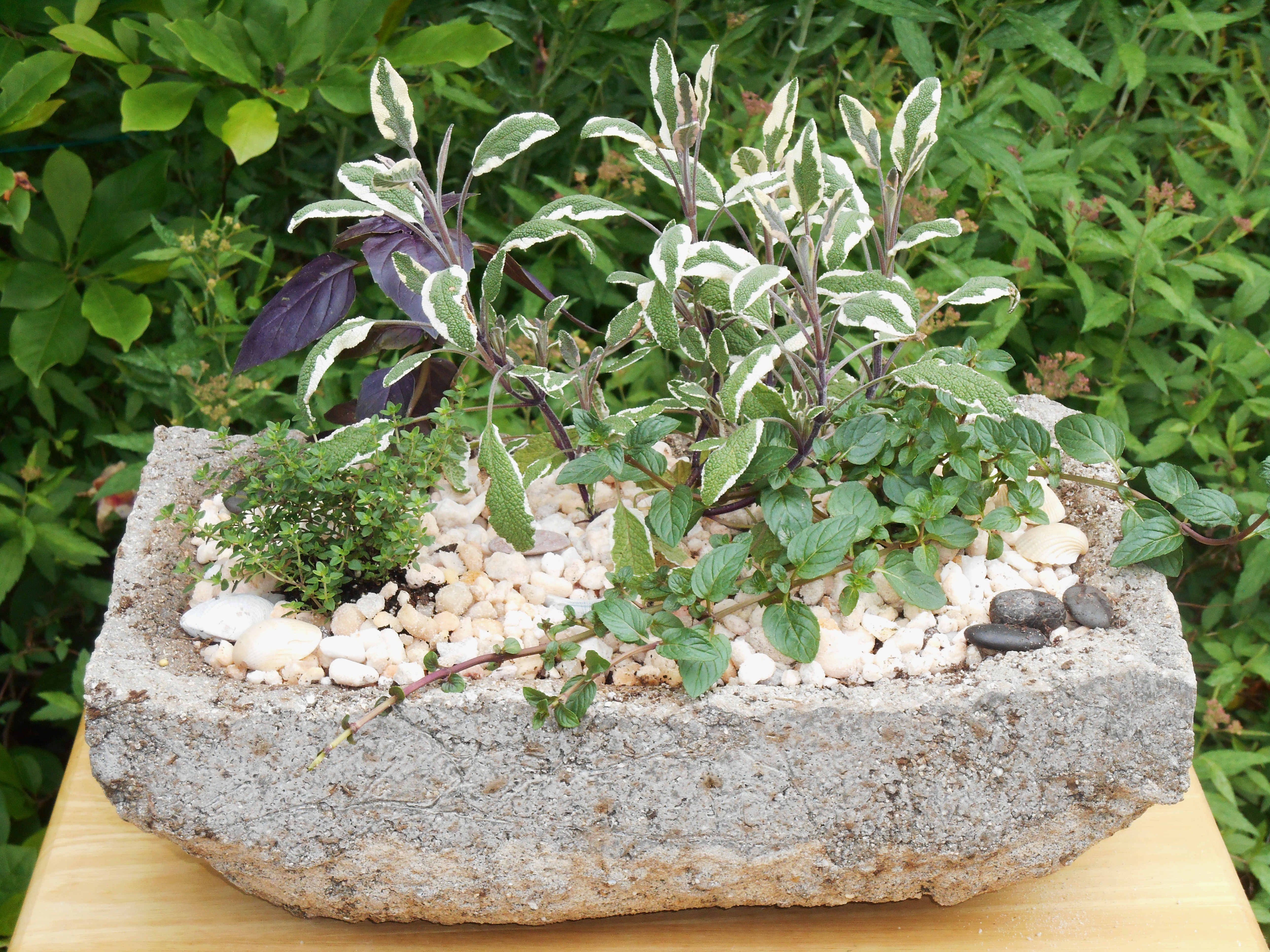 This hypertufa potted herb garden will be sold this Saturday.