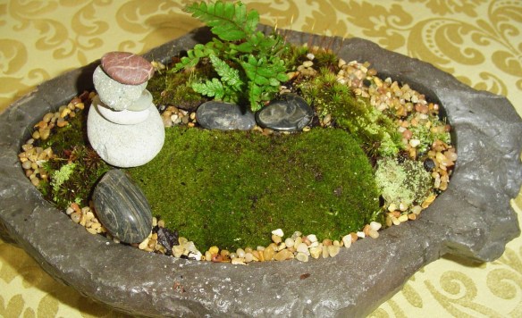 How to create a moss garden. Gardening advice.