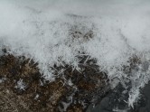 january-9-2017-snow-and-ice-032